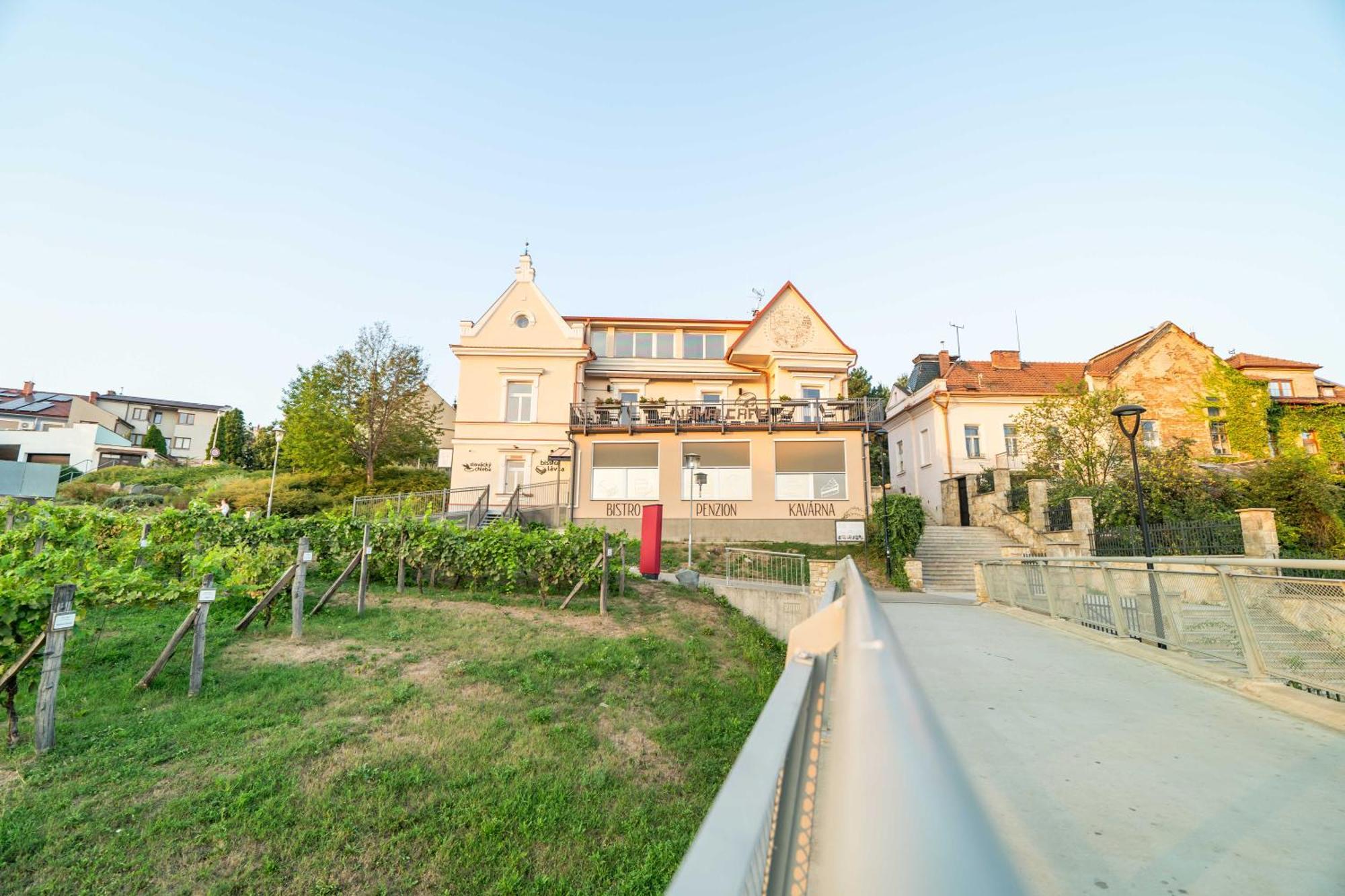 Penzion Nad Lavkou Угерски-Брод Экстерьер фото